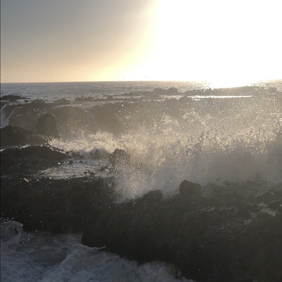 Meet your Posher, Zebraboots💃🏻💋 - Picture 7 of 7